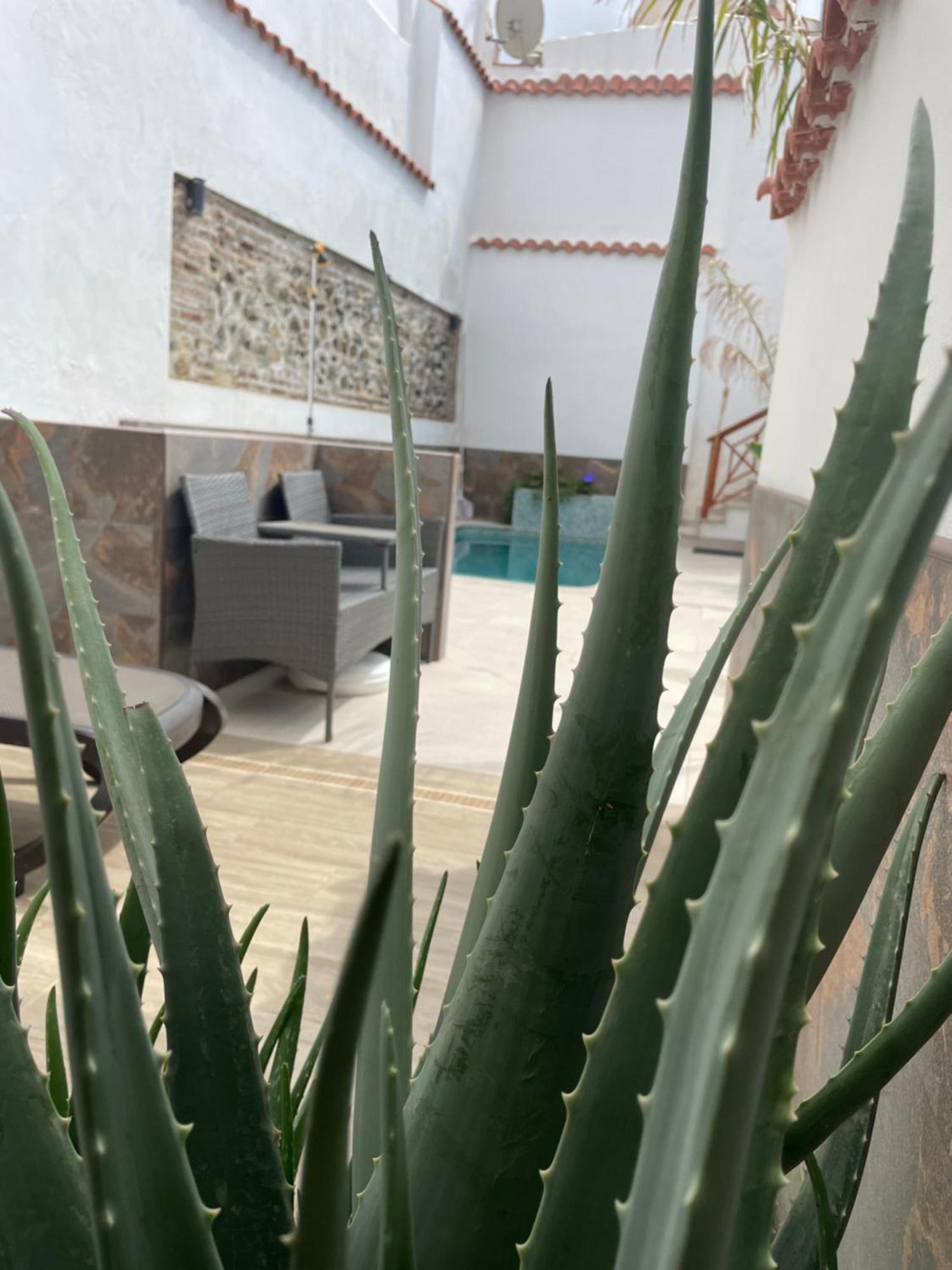 La Villa Del Sastre Velez Malaga Buitenkant foto