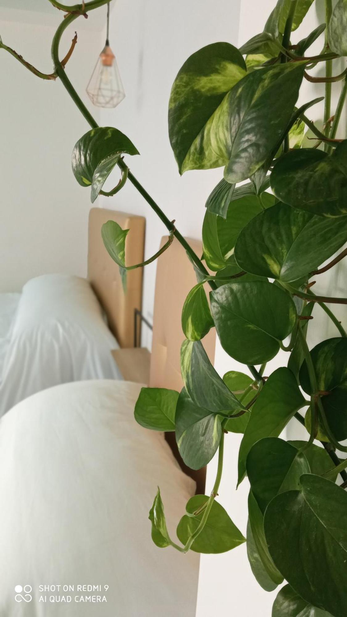 La Villa Del Sastre Velez Malaga Kamer foto